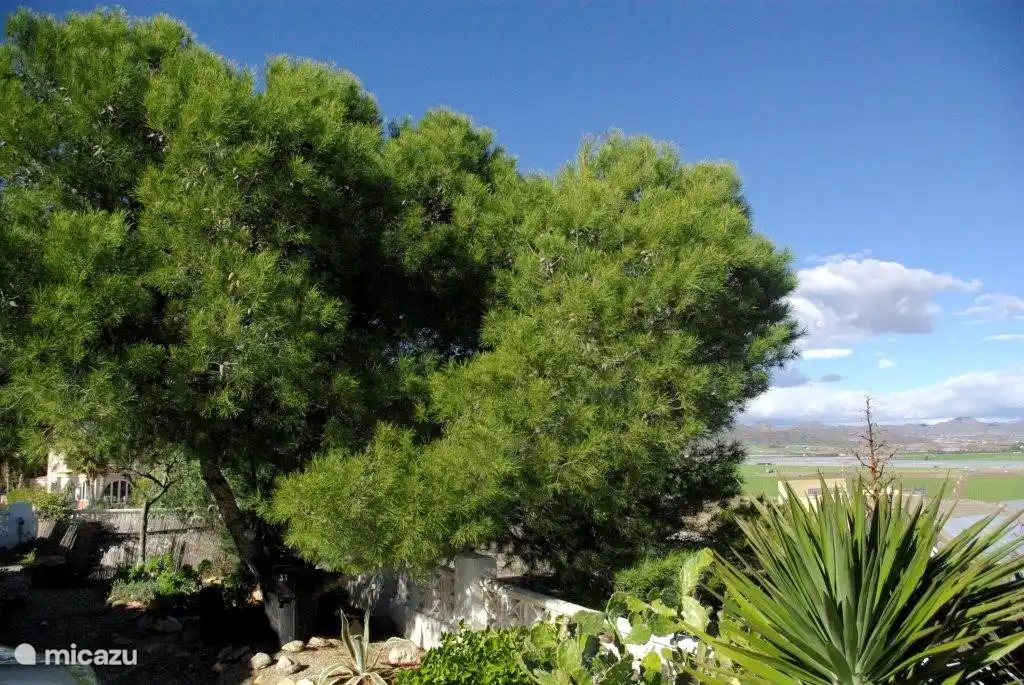 Garten mit Bergblick