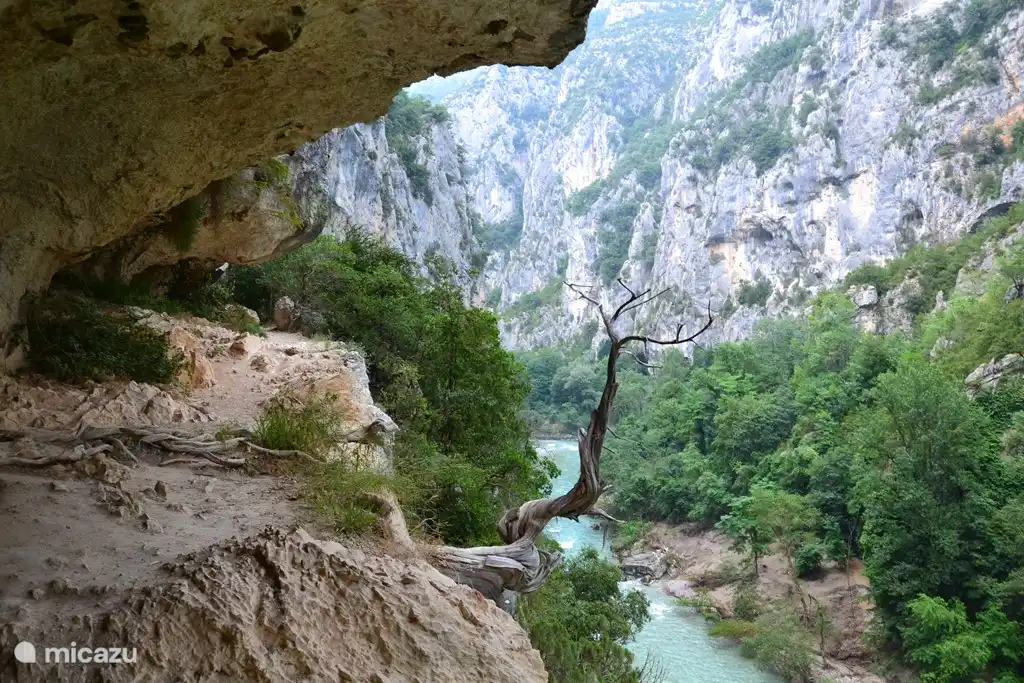 Belles promenades dans la nature
