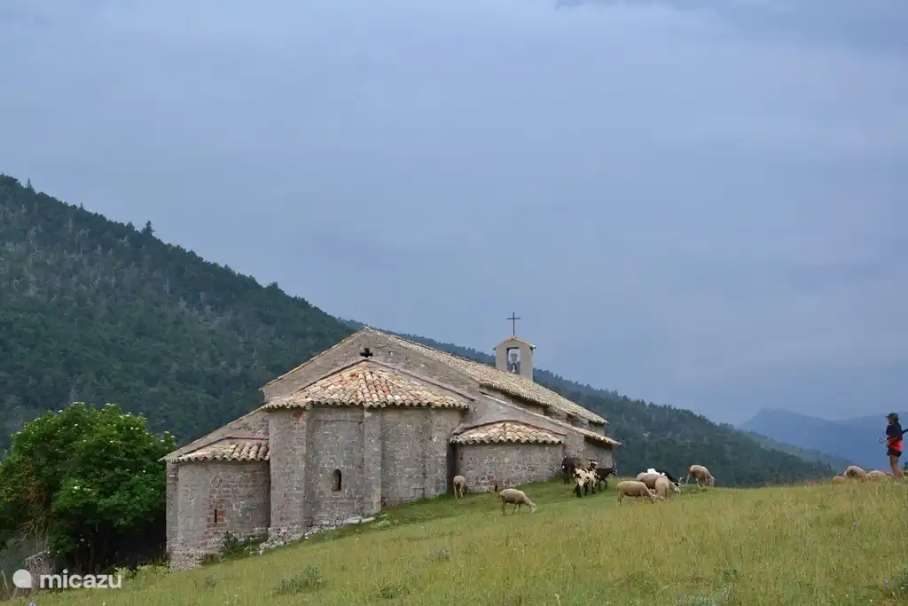 Beauté dans l'environnement