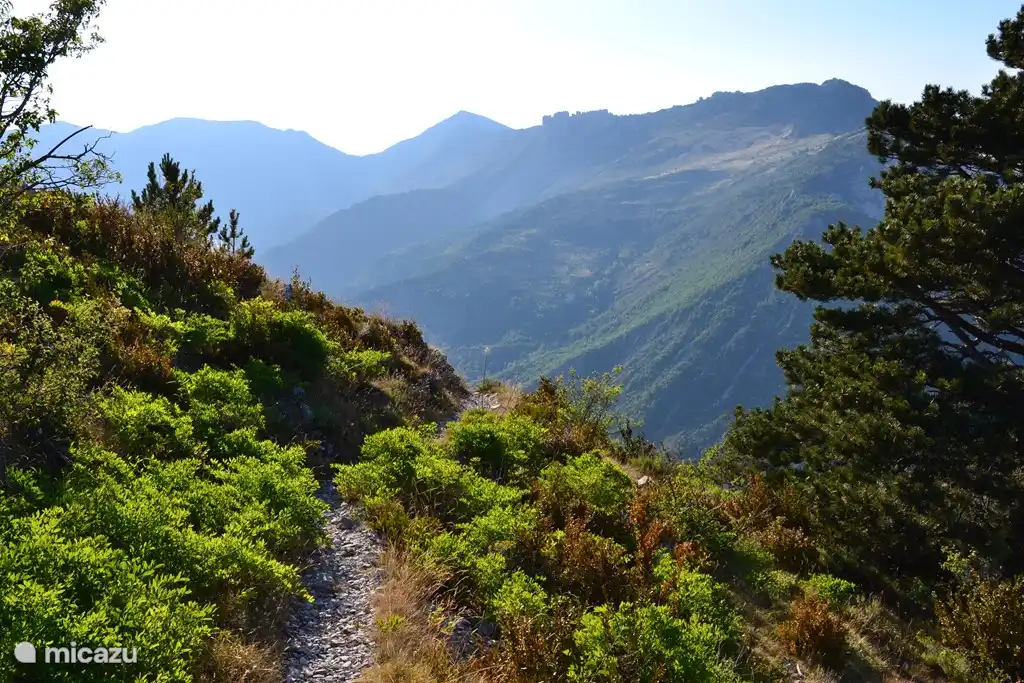 Randonnée dans les montagnes