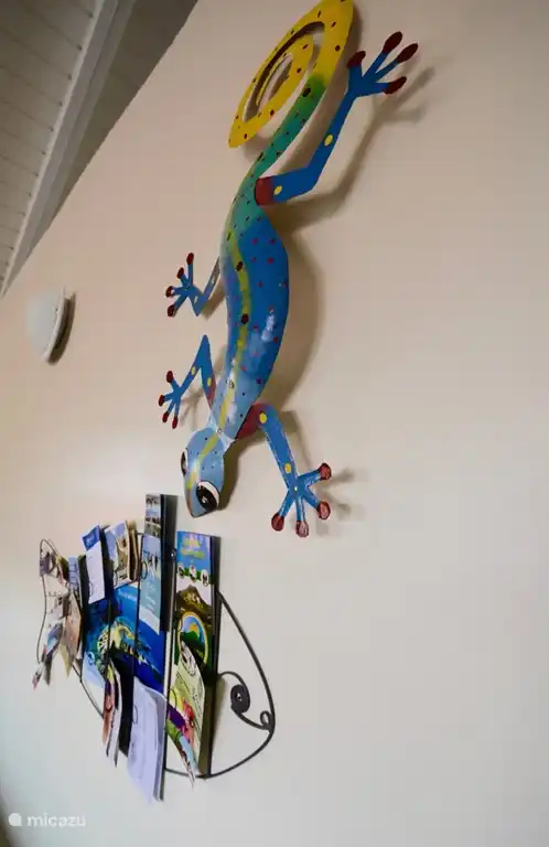 ¡Hemos recopilado folletos y tarjetas de presentación de los mejores restaurantes y las mejores actividades para ti!