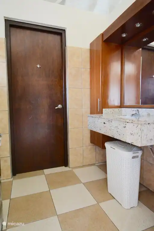 ¡Baño 2 con 1 lavabo, ducha a ras de suelo e inodoro colgante!