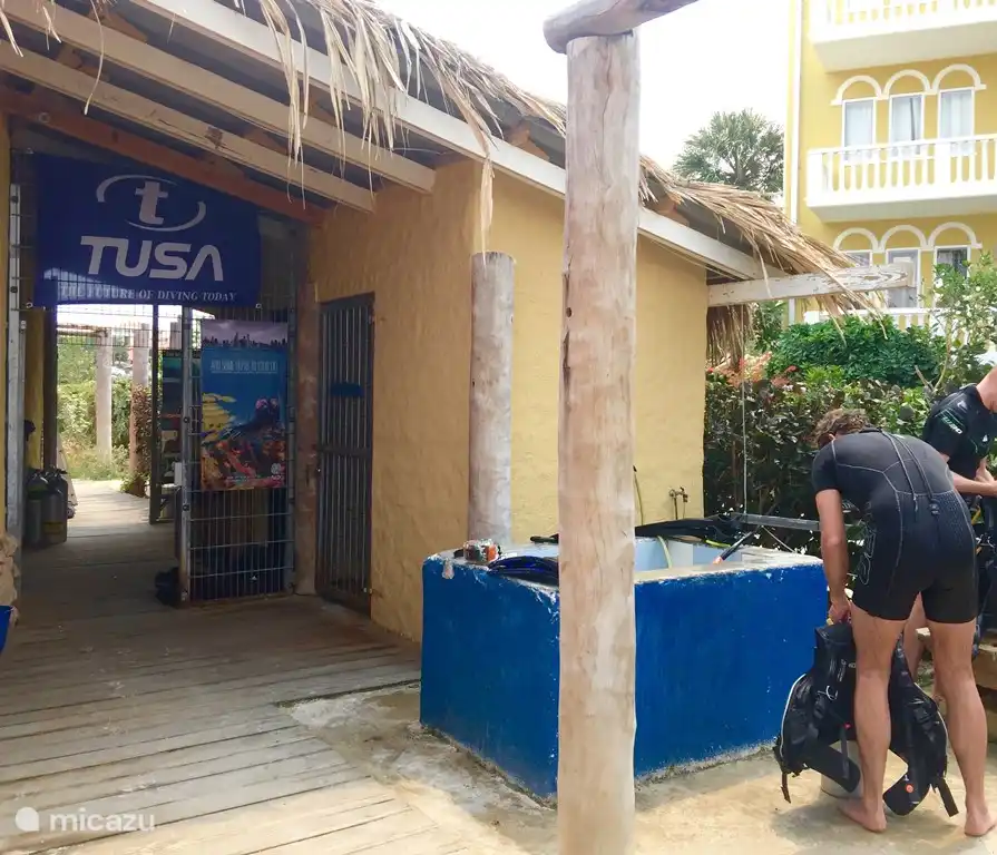Escuela de buceo PADI en Blue Bay Beach