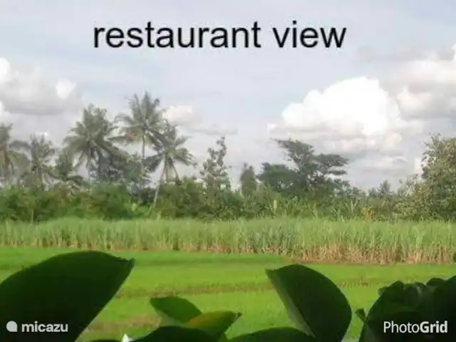 Fietsen, Indonesië, Java, Yogyakarta, villa Villa Rosseno Tuticat uitzicht restaurant