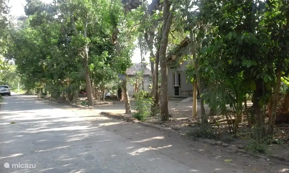 Die Villa liegt in einer ruhigen traditionellen indonesischen kampung entfernt. Sehr speziell und wunderbar für Spaziergänge wegen der schönen Reisfelder um uns herum