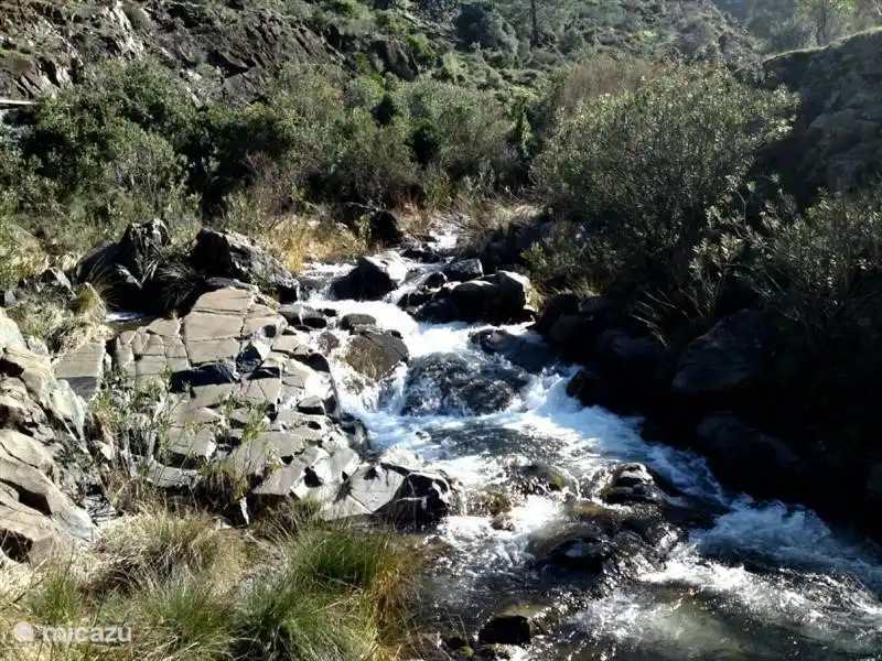 Een van de prachtige beken in de buurt, waar gewandeld of gezwommen kan worden.