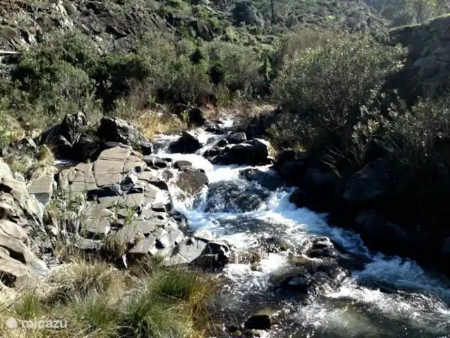 Groupes Nido Aguila Blanca | Espagne, Andalousie, Guaro - maison de vacances L'un des beaux ruisseaux de la région, où vous pourrez vous promener ou nager.