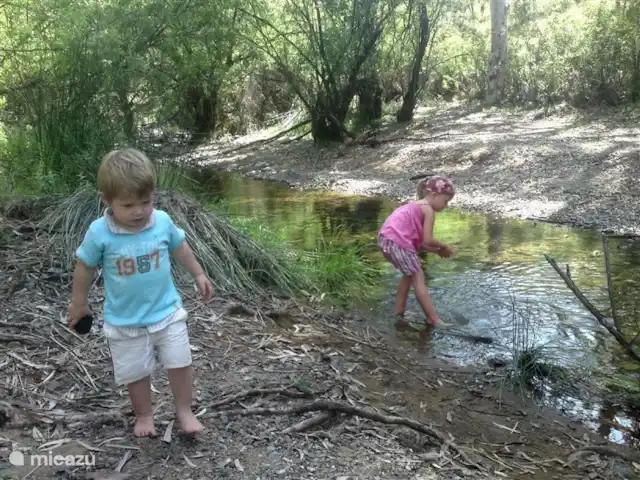 Groupes Nido Aguila Blanca | Espagne, Andalousie, Guaro - maison de vacances Il y a beaucoup à découvrir dans la région pour petits et grands.