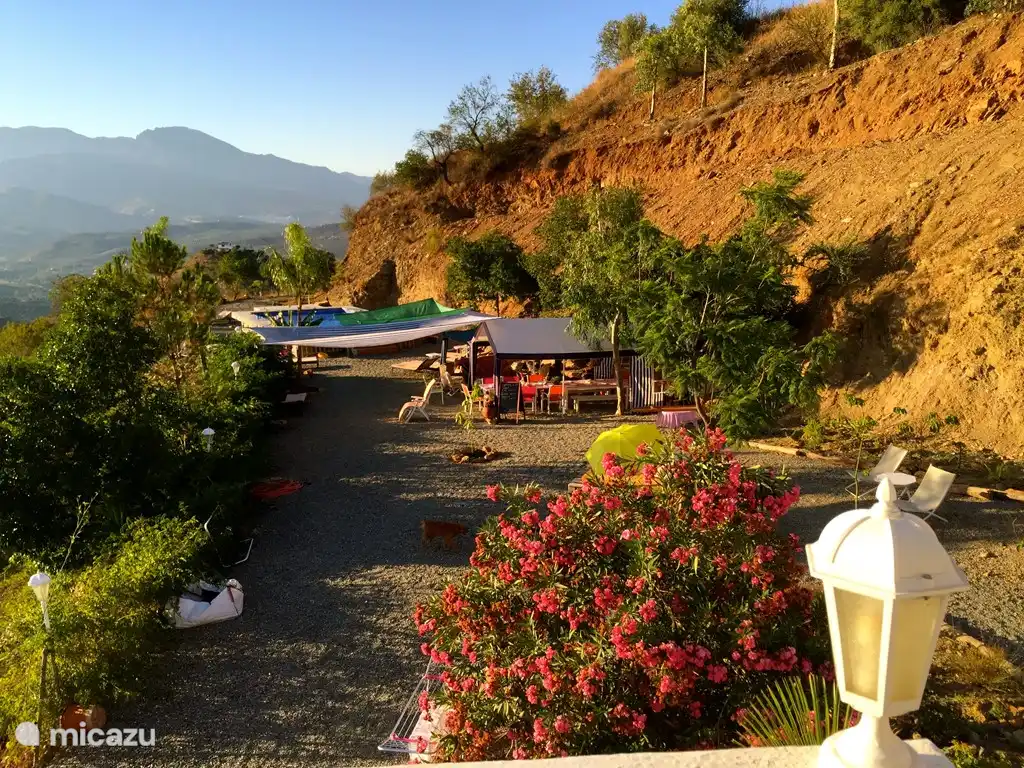 De heerlijk tuin met zwembad.