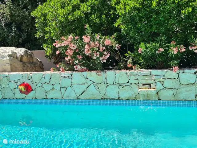L'Huveaune | France, Var, Nans-les-Pins - villa