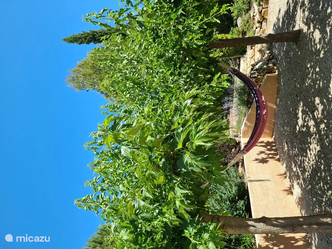 Lovely in the hammock