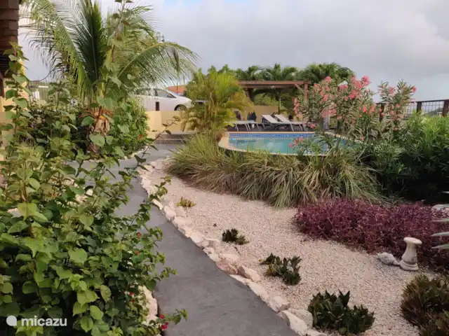 Appartement Sunshine Villa Vue de Dessus | Curaçao, Banda Ariba (est), Cas Grandi - appartement Chemin de jardin