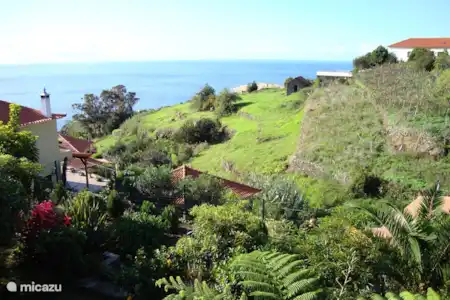 Vakantiehuis Portugal, Madeira, Calheta appartement Apartement Yvonne uitzicht