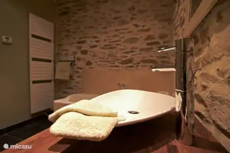 Vakantiehuis Frankrijk, Dordogne, Lieu-dit Les Bouysournes villa Jumelle -