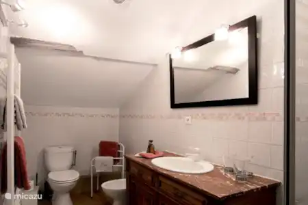 Vakantiehuis Frankrijk, Dordogne, Lieu-dit Les Bouysournes villa Jumelle -