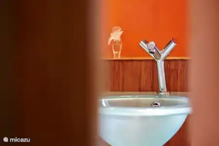 Vakantiehuis Frankrijk, Dordogne, Lieu-dit Les Bouysournes villa Jumelle -