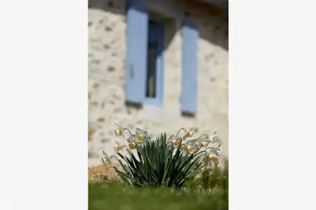 Vakantiehuis Frankrijk, Dordogne, Lieu-dit Les Bouysournes villa Jumelle -