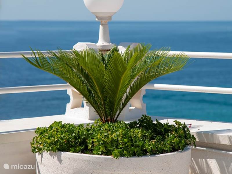Vakantiehuis Spanje, Costa Blanca, Benidorm Appartement Luxe Penthouse aan zee 2x dakterras