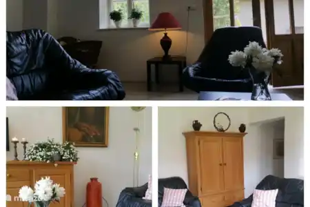 Vakantiehuis Hongarije, Baranya, Véménd vakantiehuis De witte wasbeer 2 / Feher Mosomedve Woonkamer