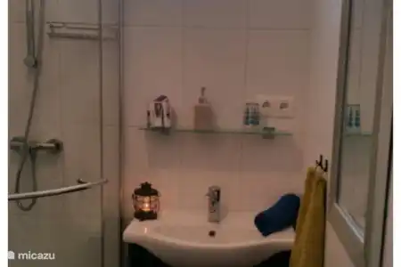 Vakantiehuis Hongarije, Baranya, Véménd vakantiehuis De witte wasbeer 2 / Feher Mosomedve Badkamer