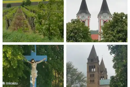 Vakantiehuis Hongarije, Baranya, Véménd vakantiehuis De witte wasbeer 2 / Feher Mosomedve Omgeving