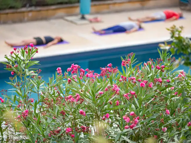 casa vacacional en Francia, Dordoña, Simeyrols – Lo Cretsou En temporada alta hay clases de Chai Chi-Yoga por la mañana dos veces por semana.