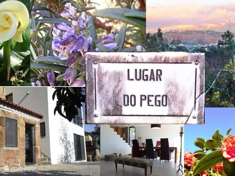 Vakantiehuis Portugal, Beiras, Viseu Villa Villa Lugar do Pego