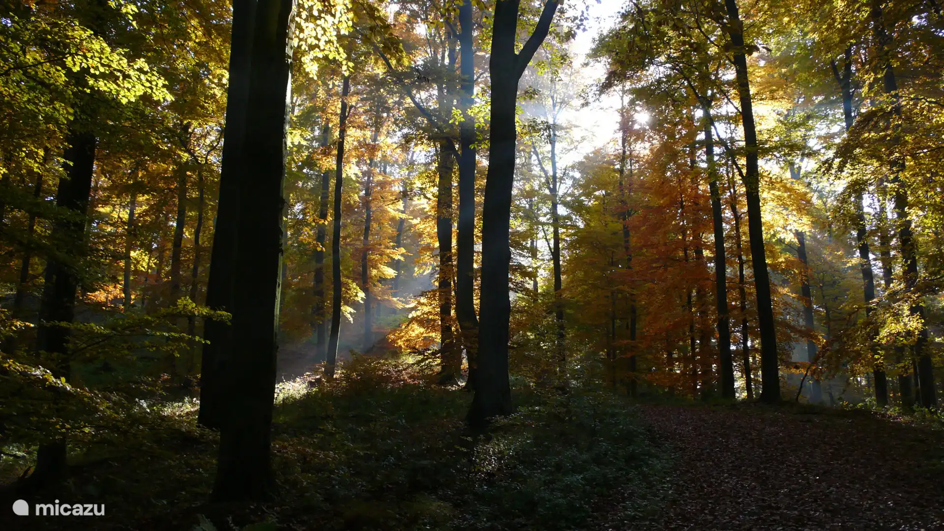 Schön zu jeder Jahreszeit!