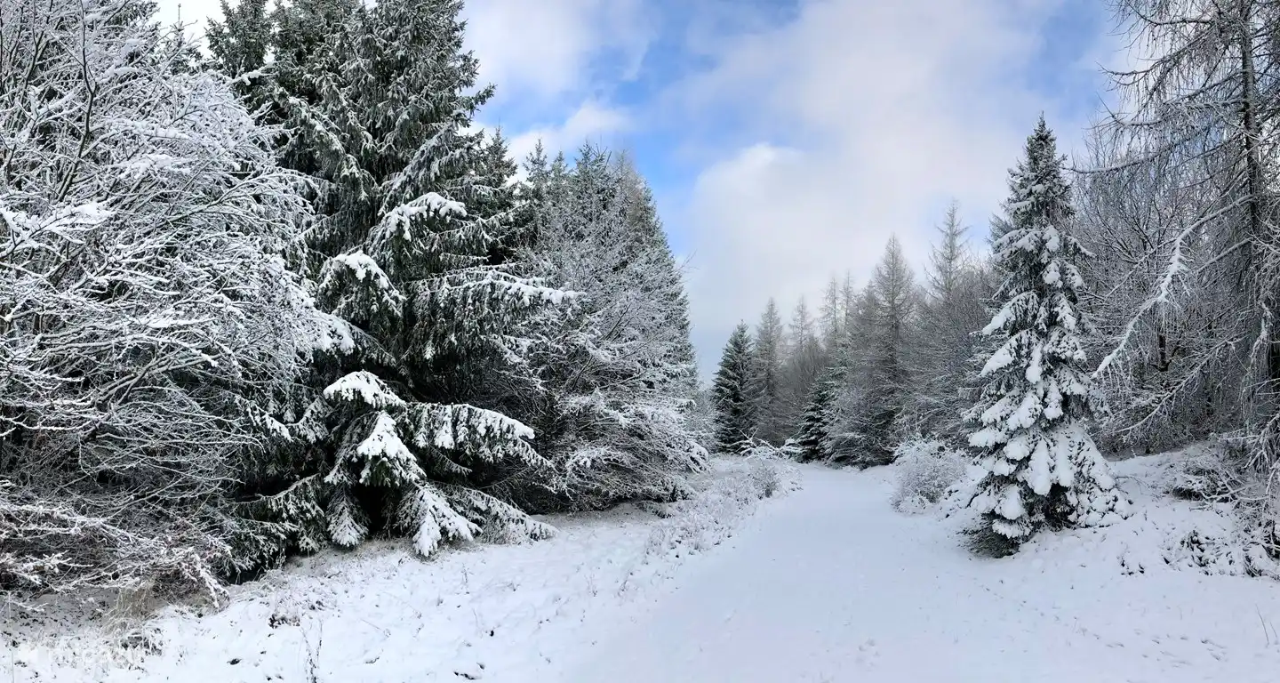 Das Gehen wird zu einer anderen Erfahrung.