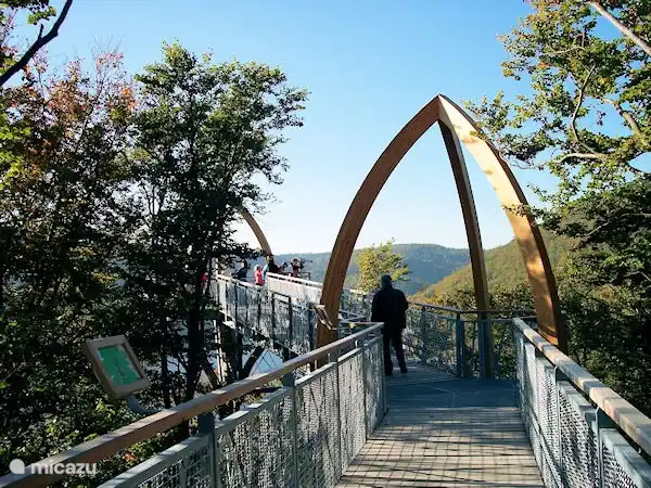 Baumwipfelpfad. Wandern und Klettern zwischen den Bäumen. Am Edersee.