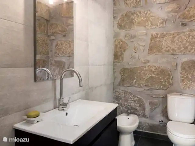 Ruime slaapkamer, badk, keuken op 1e huren in Portugal, Viseu, Tondela - appartement De badkamer en suite bij de slaapkamer op de 1e etage met toilet, bidet en wastafel