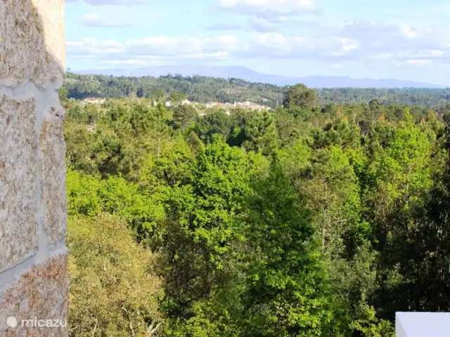 Ruime slaapkamer, badk, keuken op 1e huren in Portugal, Viseu, Tondela - appartement Uitzicht vanaf het terras voor de keuken