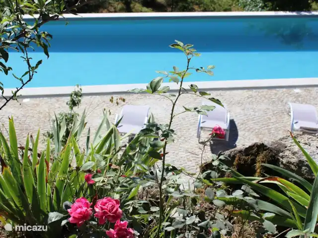Ruime slaapkamer, badk, keuken op 1e huren in Portugal, Viseu, Tondela - appartement Zoutwater zwembad 12 m x 4 m met zonneterras