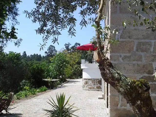Ruime slaapkamer op bg & keuken 1e huren in Portugal, Viseu, Tondela - appartement Zijaanzicht vakantiehuis Lugar do Pego