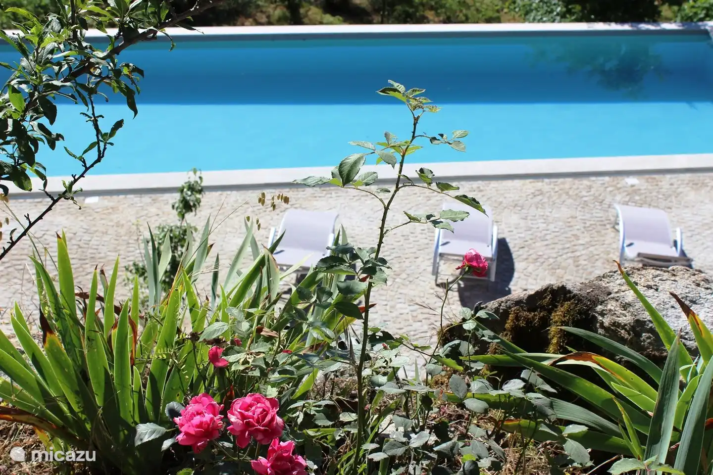 Salzwasserpool 12 mx 4 m mit Sonnenterrasse