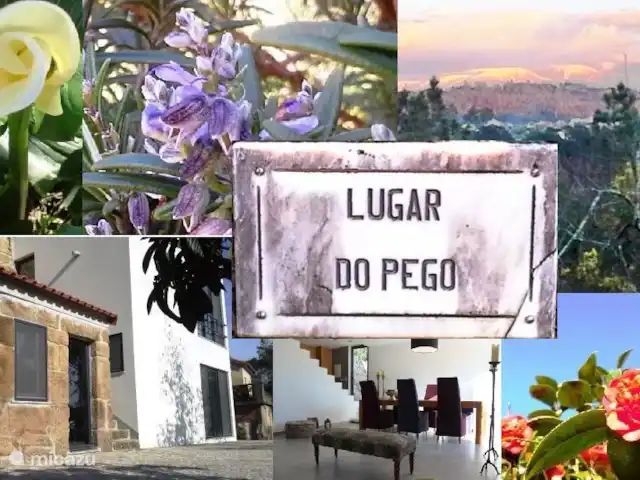 Vakantiehuis voor 7 p, bergzicht huren in Portugal, Viseu, Tondela - finca Lugar do Pego beeldmerk