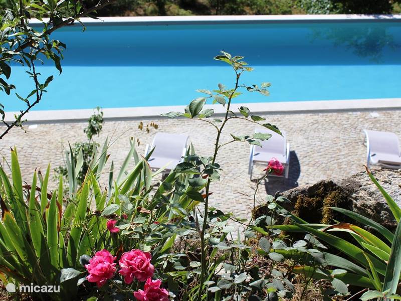 Maison de Vacances Portugal, Beiras, Viseu Finca Maison de vacances pour 7 p, vue montagne