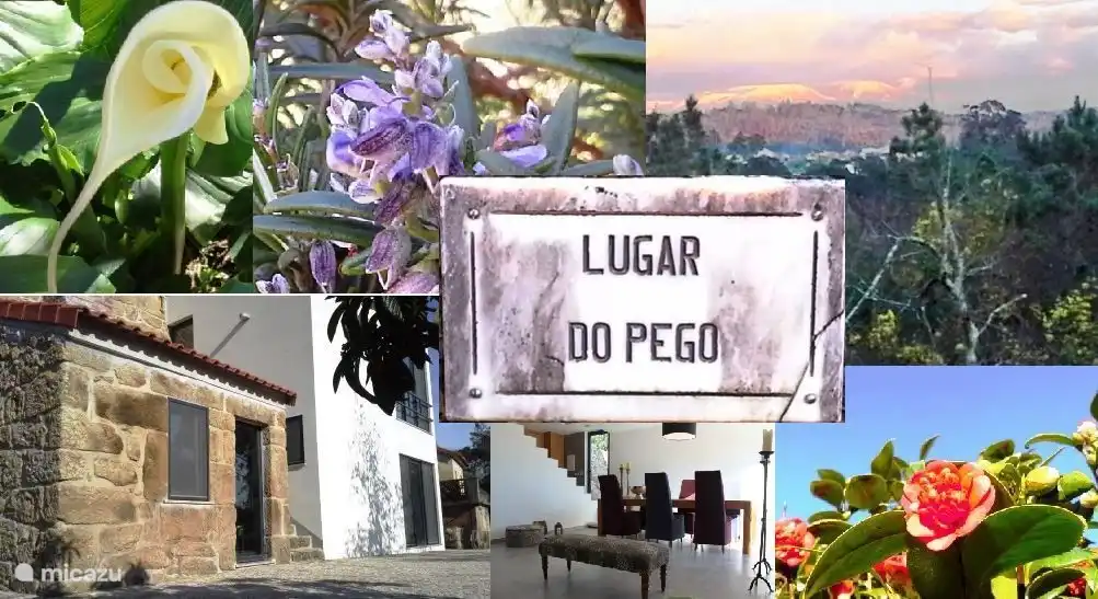 Lugar do Pego logo