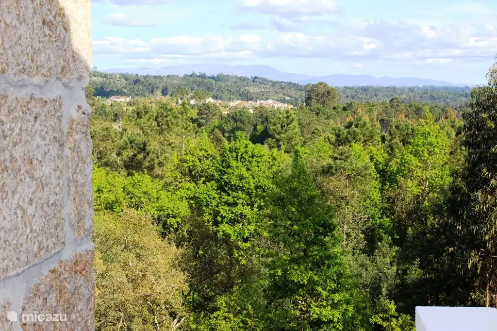 Blick von der Terrasse in die Küche