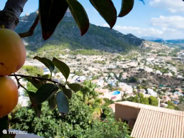 Casa Noréna | Espagne, Costa Blanca, Calpe - villa Vue du jardin d'agrumes