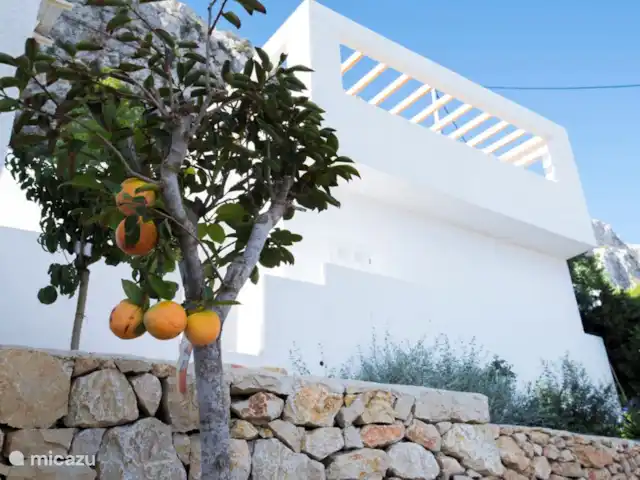Casa Noréna | Espagne, Costa Blanca, Calpe - villa Arbre fruitier