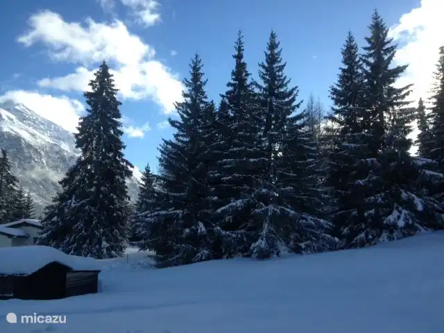 Winteruitzicht in Lenz