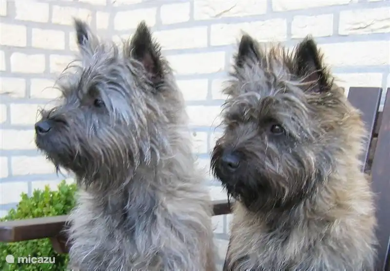 Auch wir sind herzlich willkommen!