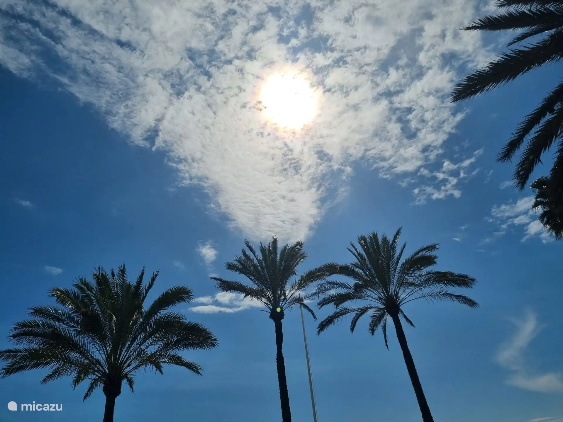 San Pedro de Alcantara seafront
