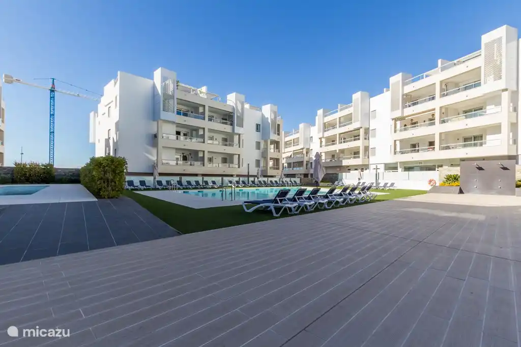 Piscine avec transats