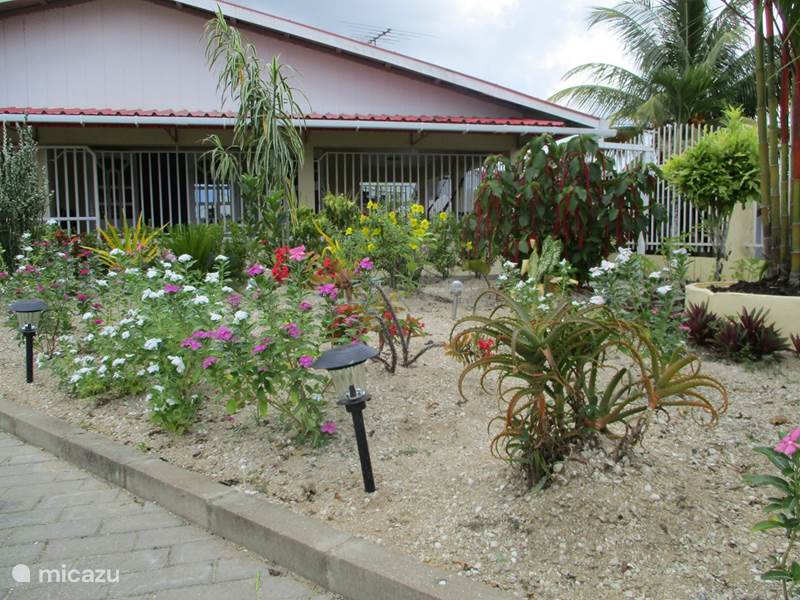 Casa vacacional Suriname, Commewijne, Mariënburg  Bungaló Saampies