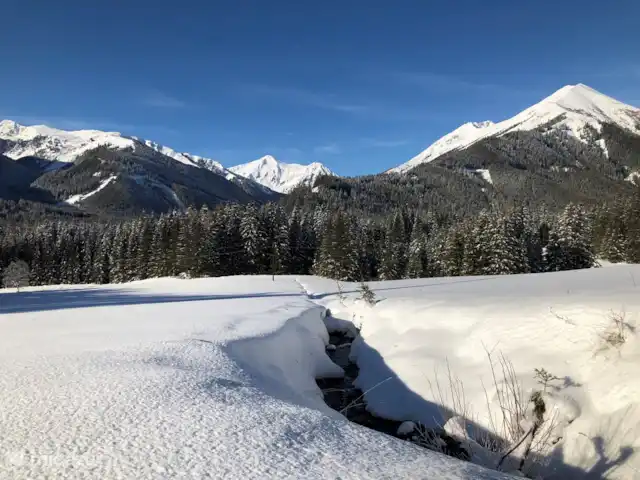 chalet en Austria, Estiria, Hohentauern – Chalet Edelweiss Invierno