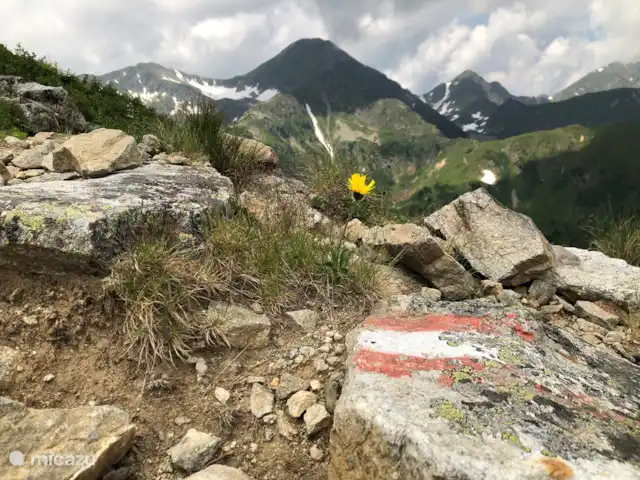 chalet en Austria, Estiria, Hohentauern – Chalet Edelweiss Gramo. Bosenstein (2.448 m)