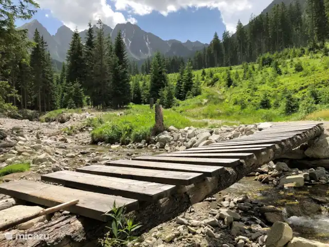 chalet en Austria, Estiria, Hohentauern – Chalet Edelweiss impresión de verano