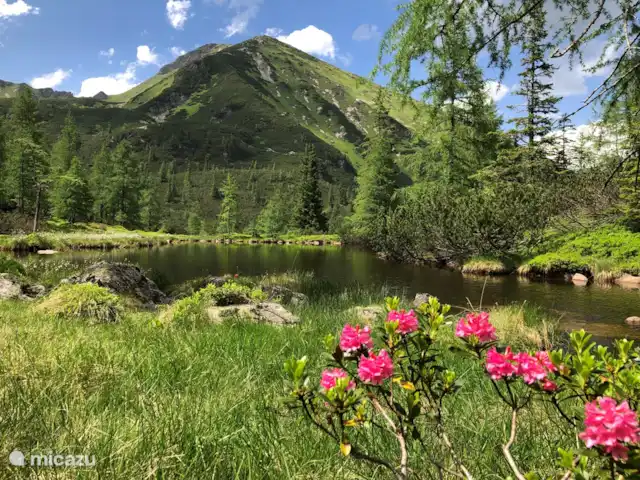 chalet en Austria, Estiria, Hohentauern – Chalet Edelweiss Königssee